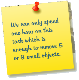 We can only spend one hour on this task which is enough to remove 5 or 6 small objects.